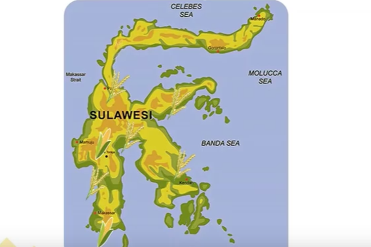 Detail Gambar Peta Pulau Sulawesi Nomer 4