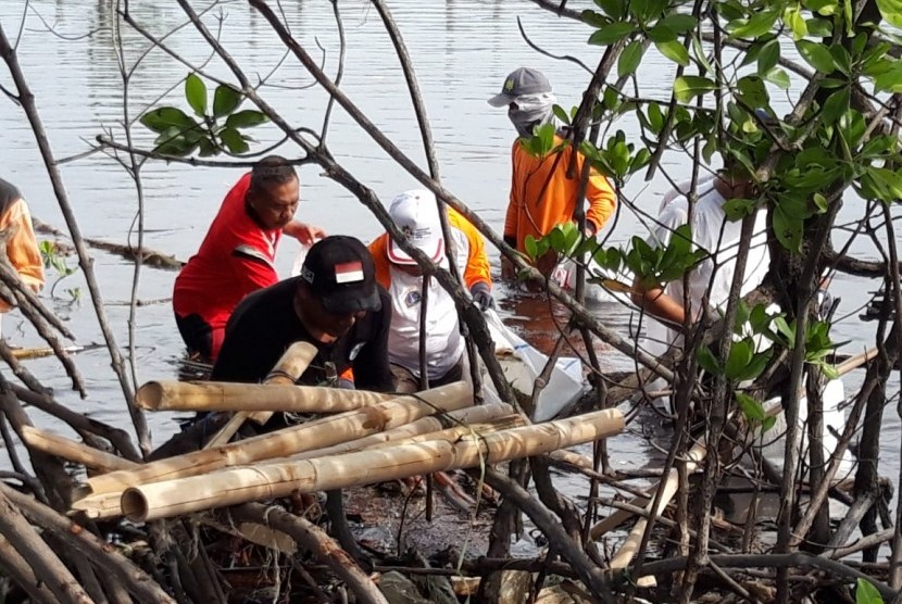 Detail Gambar Petugas Jumantik Di Kepulauan Seribu Nomer 22