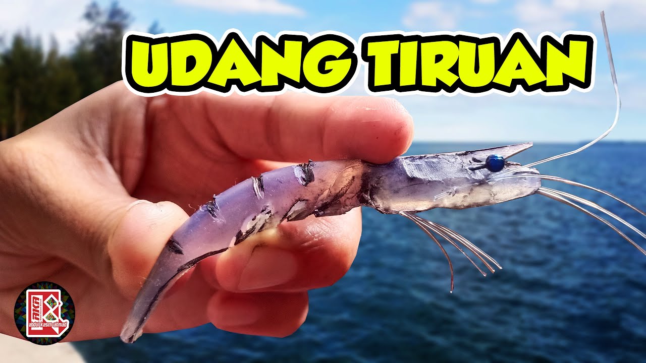 Detail Gambar Pola Untuk Udang Buatan Nomer 8