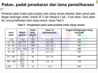 Detail Gambar Pola Untuk Udang Buatan Nomer 22