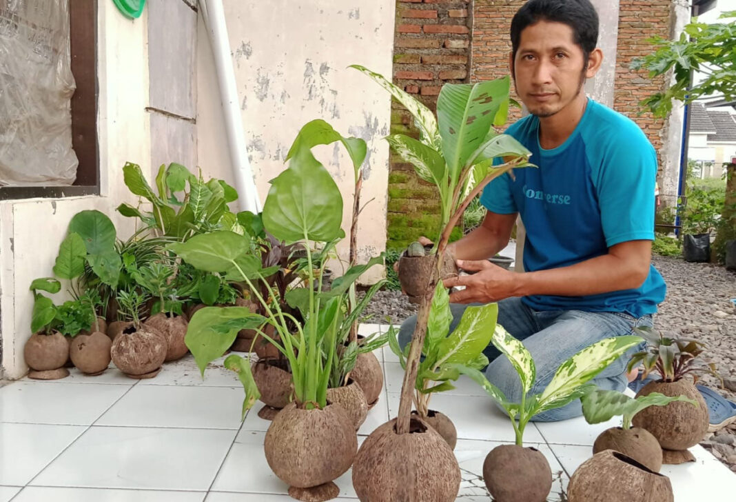 Detail Gambar Pot Bunga Dari Batok Kelapa Nomer 12