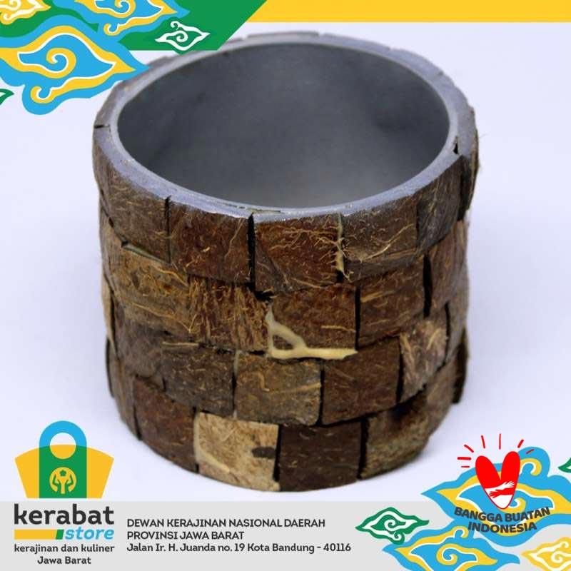 Detail Gambar Pot Bunga Dari Batok Kelapa Nomer 13