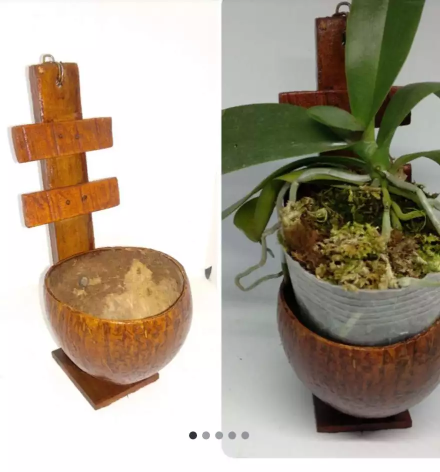 Detail Gambar Pot Bunga Dari Batok Kelapa Nomer 27