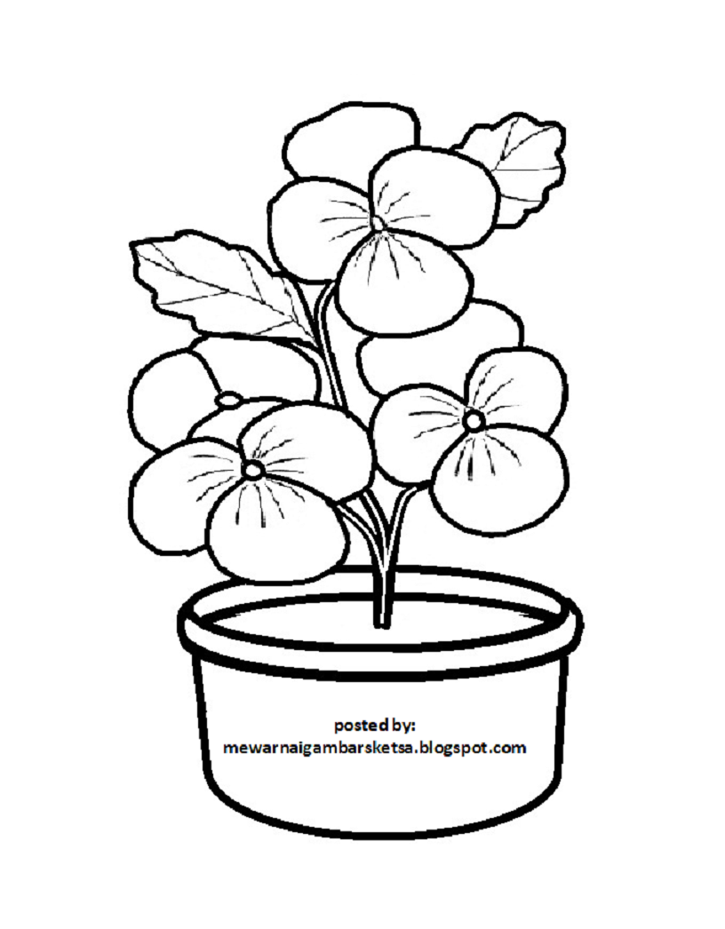 Detail Gambar Pot Bunga Untuk Mewarnai Nomer 17