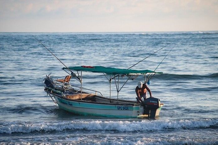 Detail Gambar Profesi Profesi Manusia Yang Ada Di Pantai Nomer 8