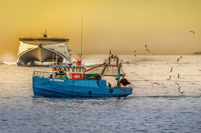 Detail Gambar Profesi Profesi Manusia Yang Ada Di Pantai Nomer 13