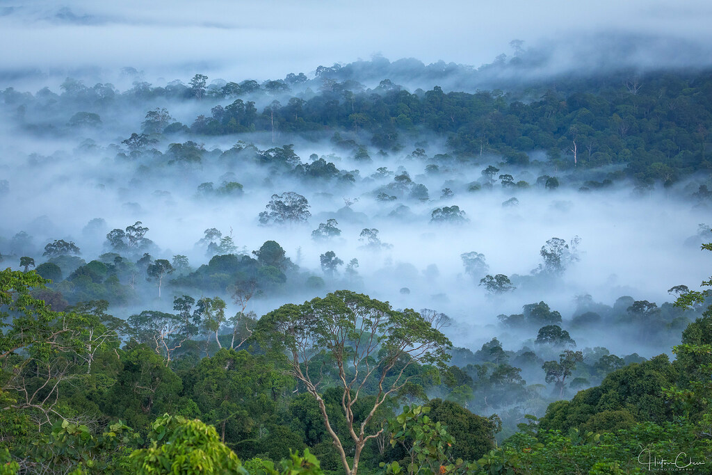 Detail Gambar Pulau Kalimantan Nomer 24