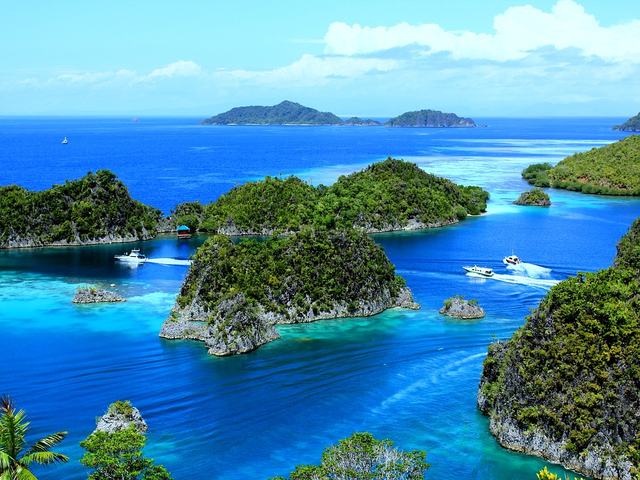 Detail Gambar Pulau Papua Nomer 22