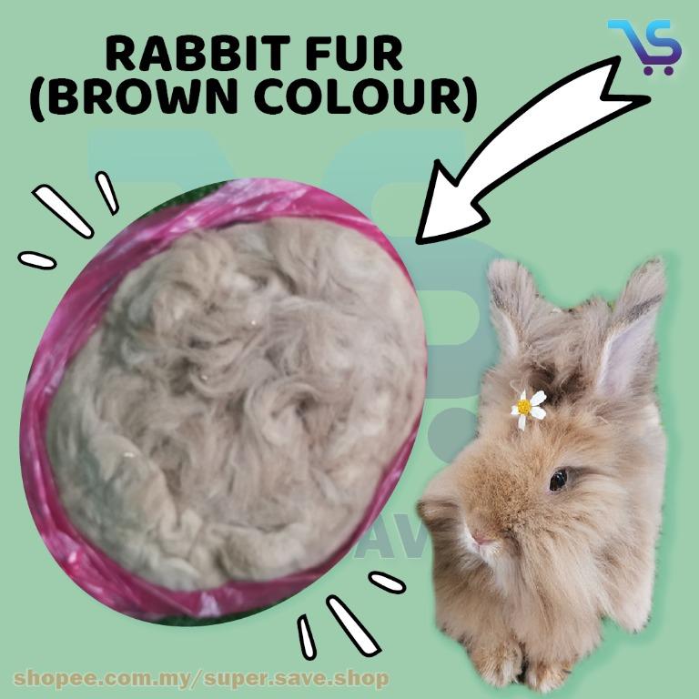 Detail Gambar Rabbit Untuk Warna Nomer 14