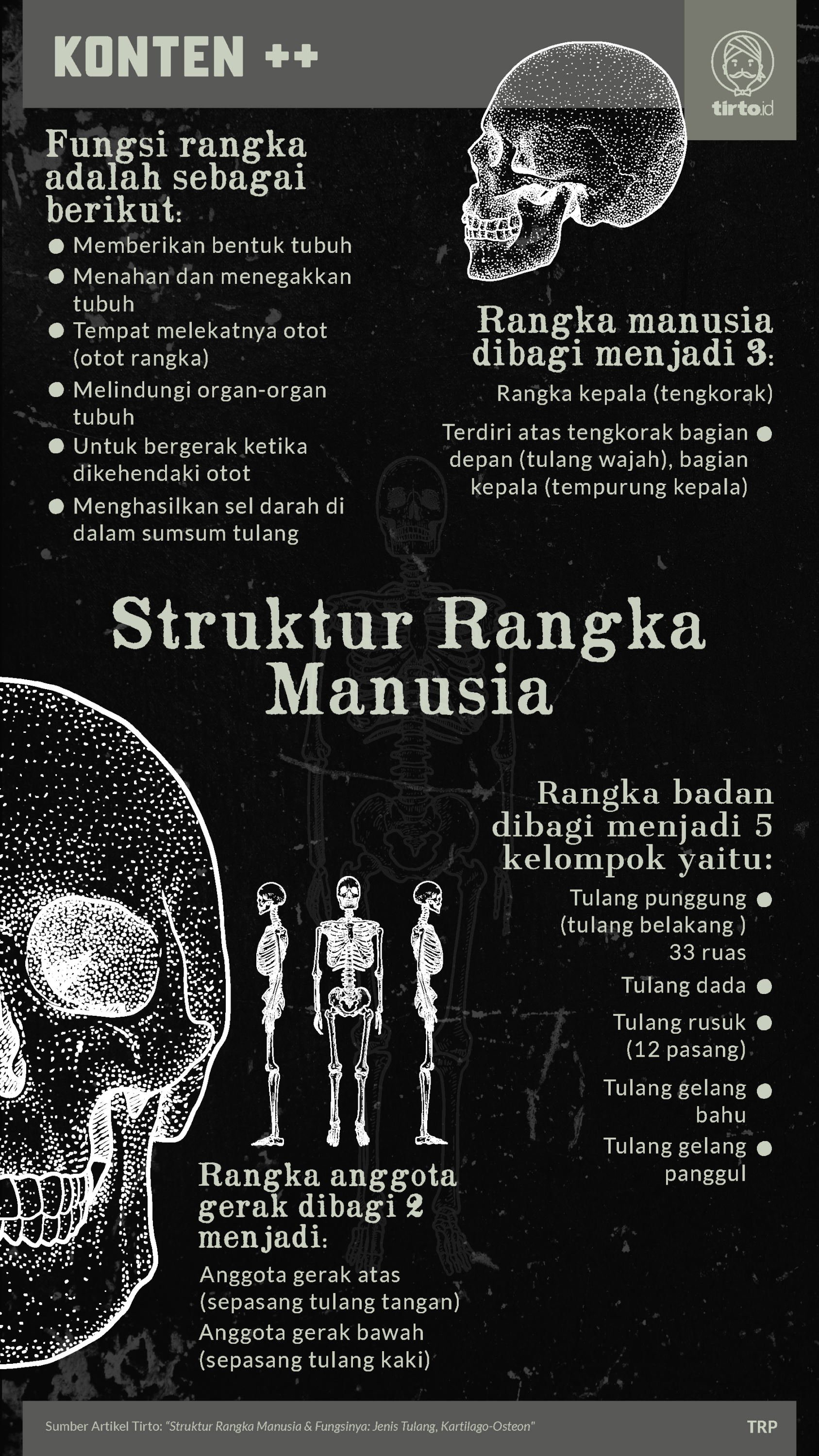 Detail Gambar Rangka Manusia Nomer 50