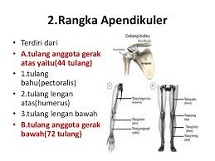 Detail Gambar Rangka Manusia Ular Nomer 45