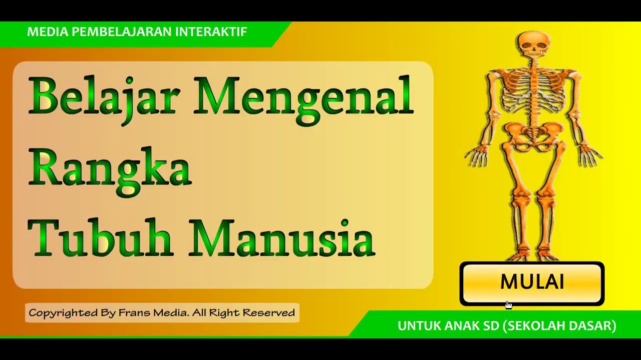 Detail Gambar Rangka Tubuh Manusia Nomer 48