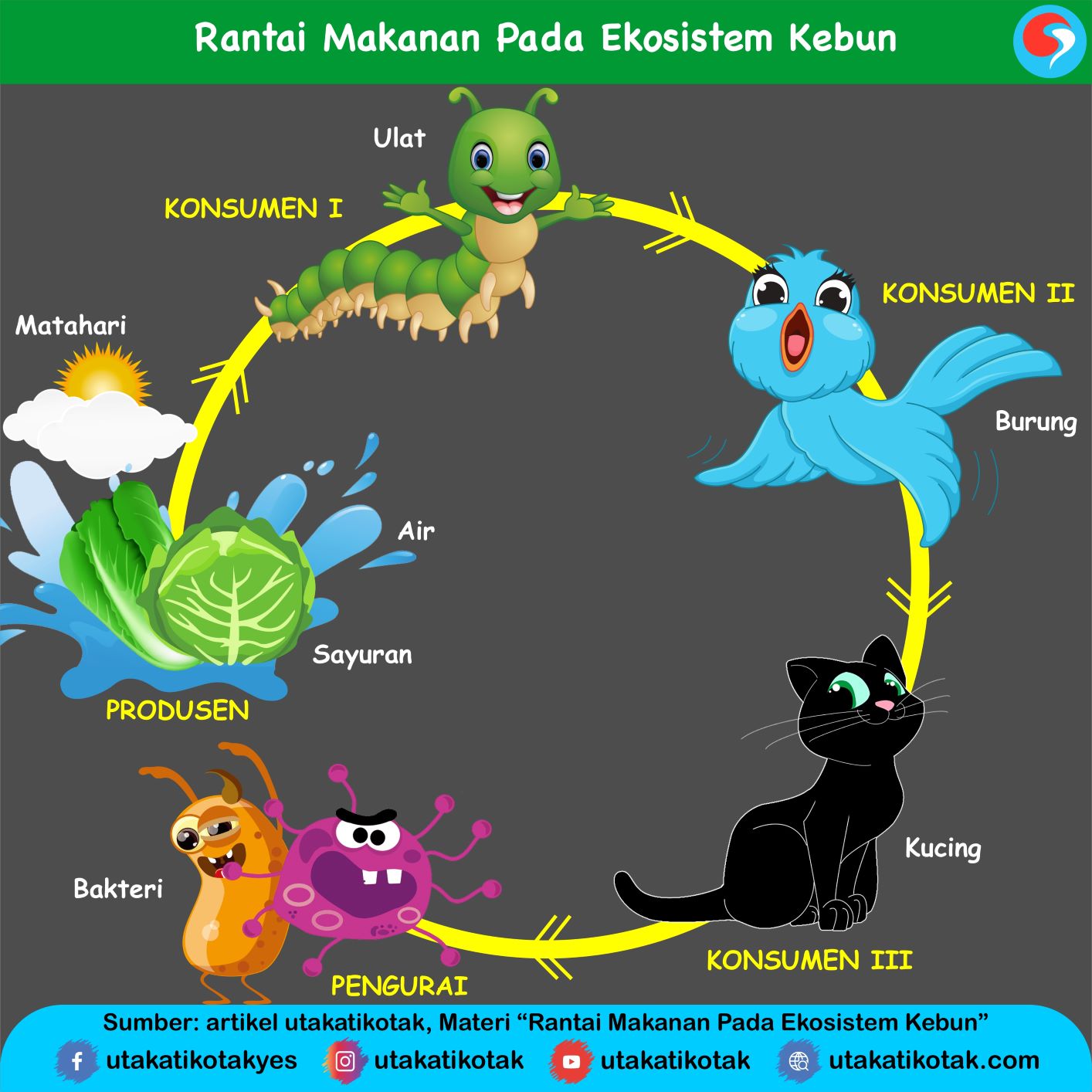 Detail Gambar Rantai Makanan Beserta Penjelasanya Nomer 47