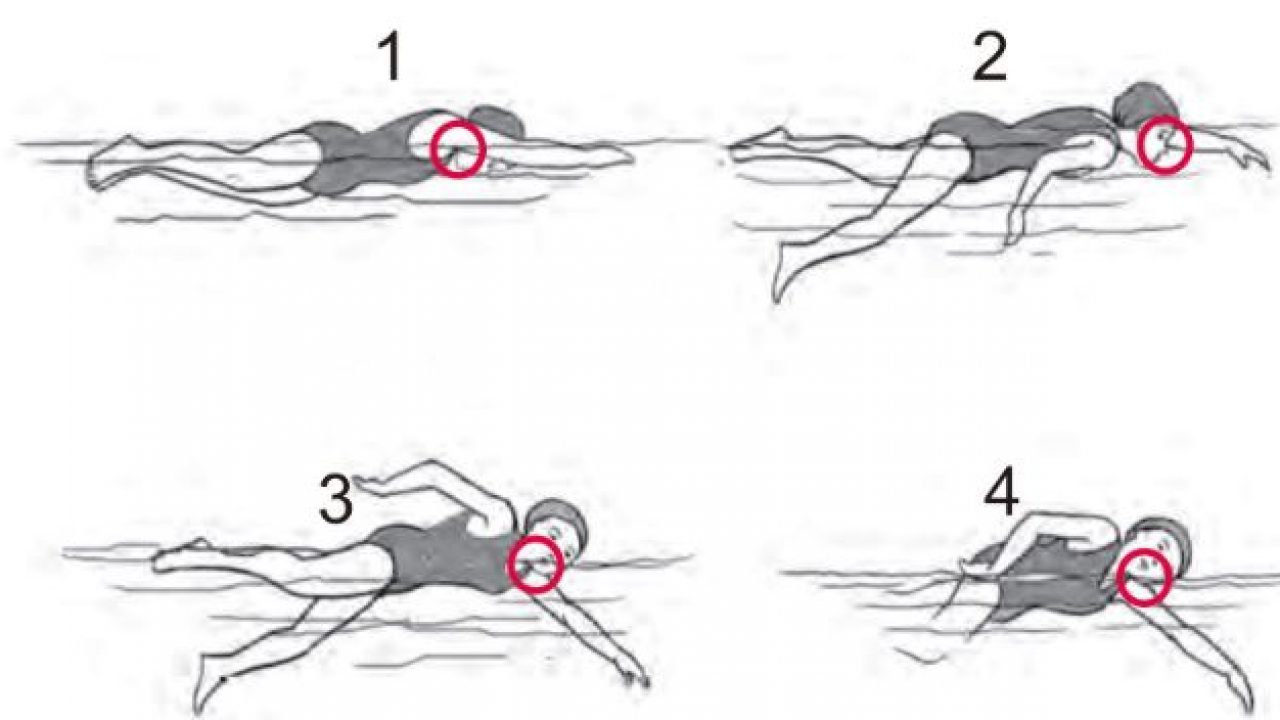 Detail Gambar Renang Gaya Bebas Nomer 11