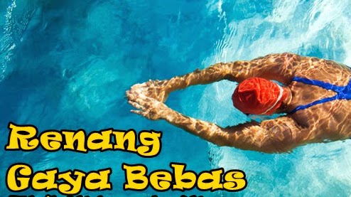 Download Gambar Renang Gaya Bebas Nomer 49