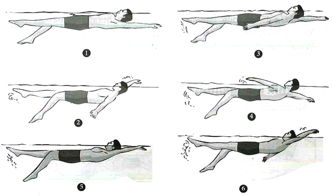 Detail Gambar Renang Gaya Punggung Nomer 47