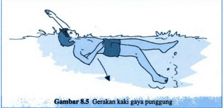 Detail Gambar Renang Gaya Punggung Nomer 51