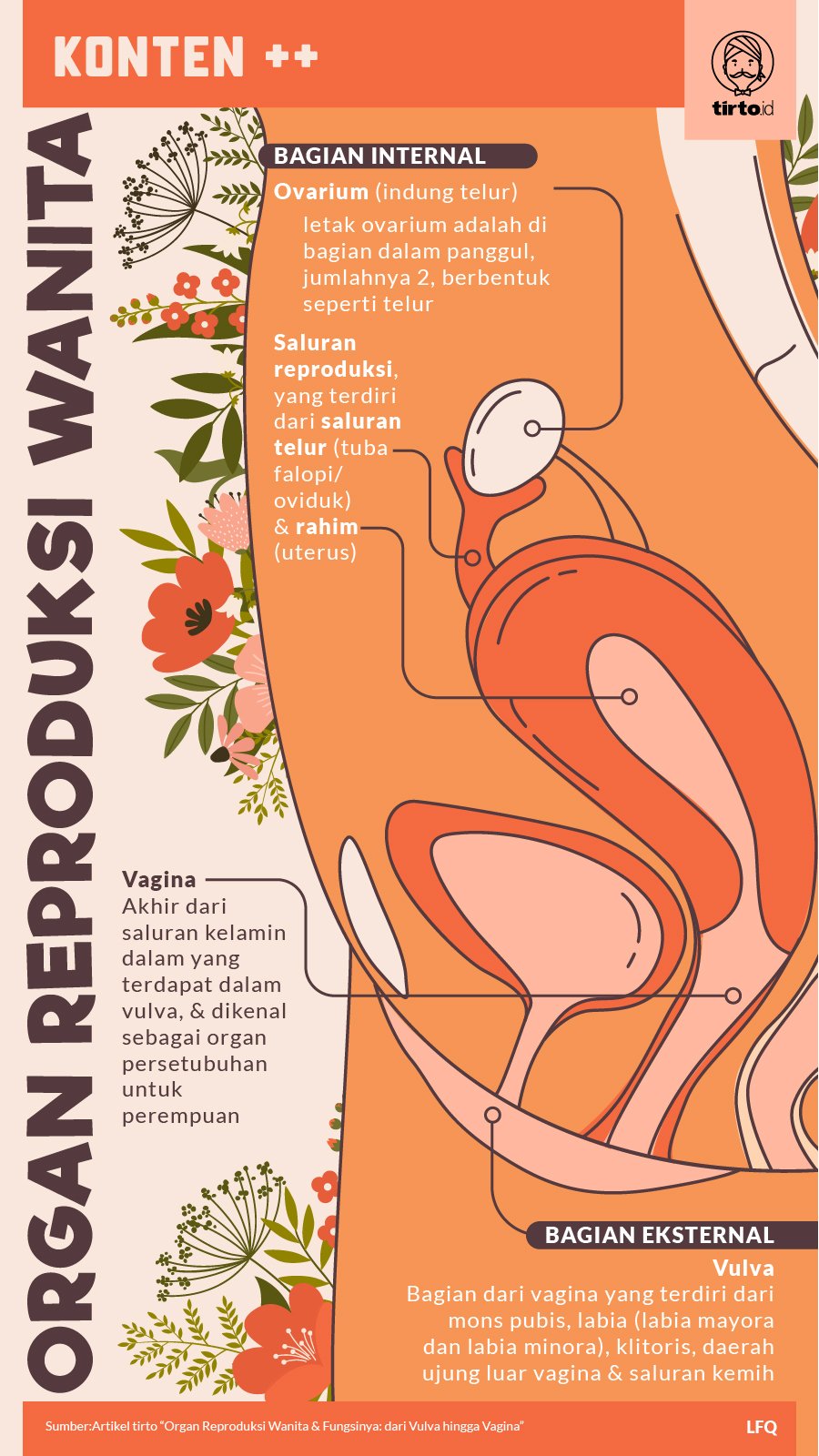 Detail Gambar Reproduksi Wanita Dan Fungsinya Nomer 46