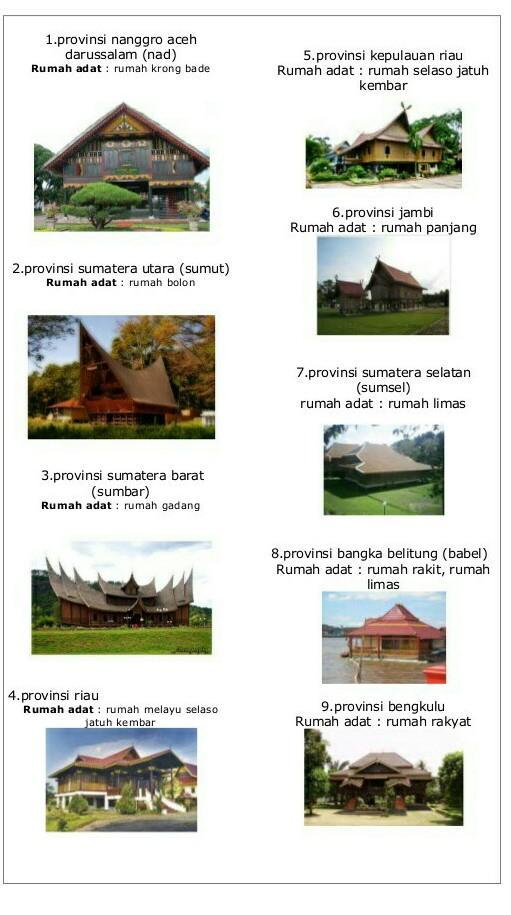 Detail Gambar Rumah Adat Di Indonesia Beserta Daerah Asalnya Koleksi