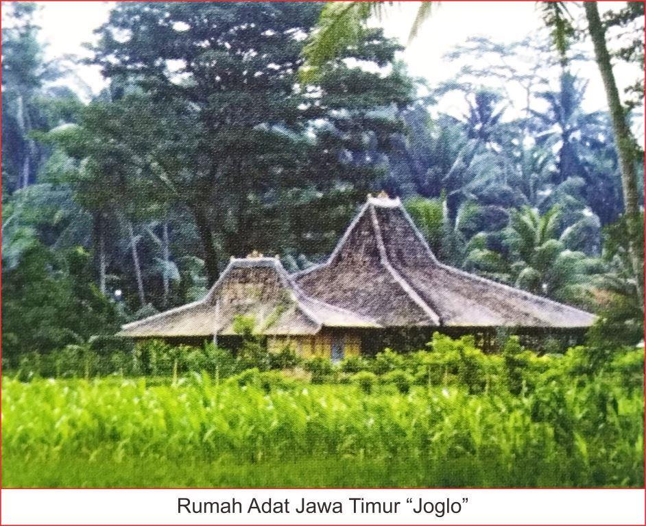 Detail Gambar Rumah Adat Jawa Timur Beserta Namanya Nomer 51