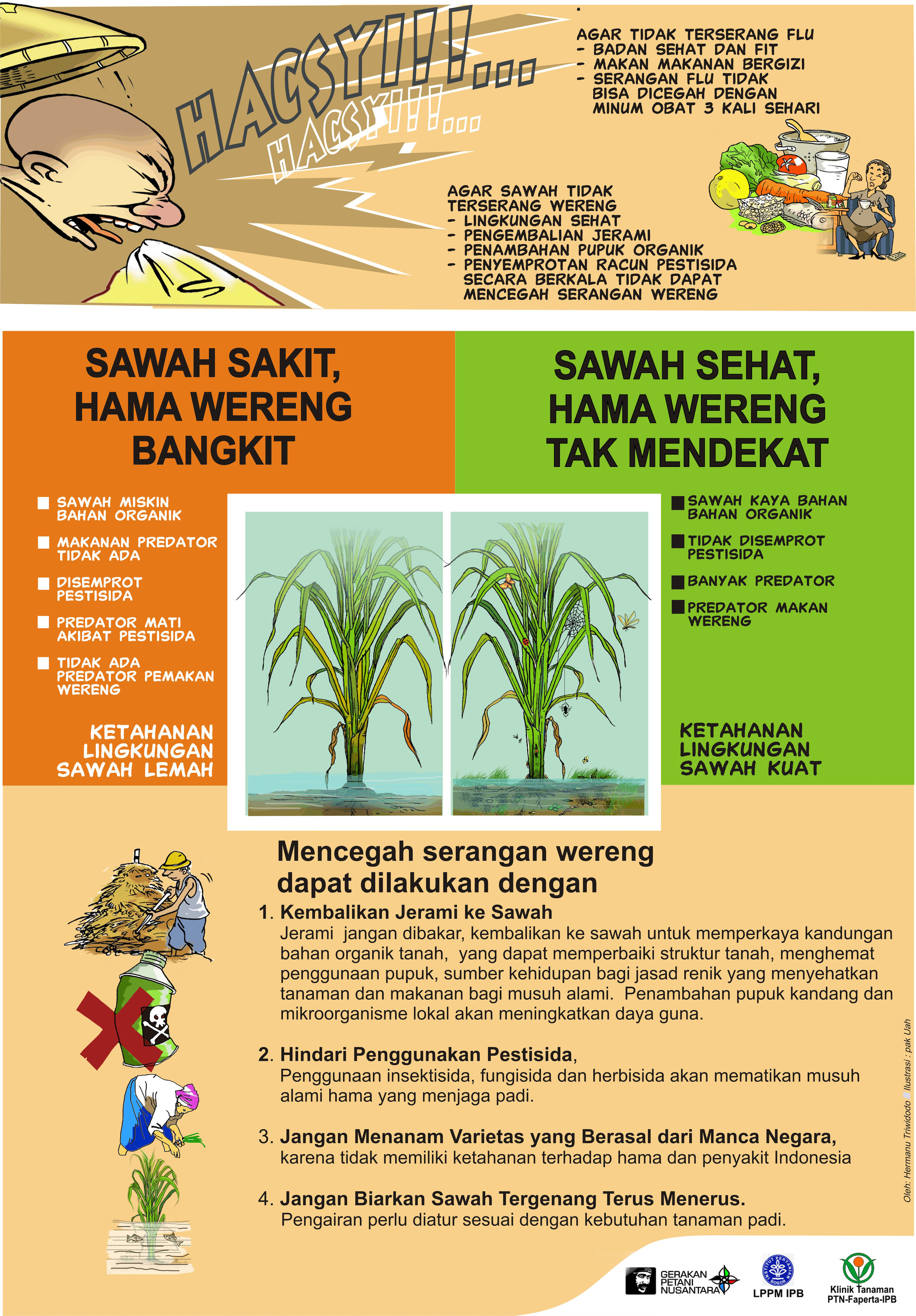 Detail Gambar Sawah Padi Pestisida Untuk Sayuran Nomer 18