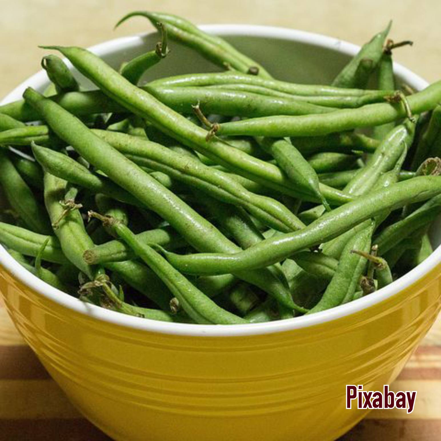 Detail Gambar Sayur Mayur Lalaban Macam Kacang Panjang Nomer 21