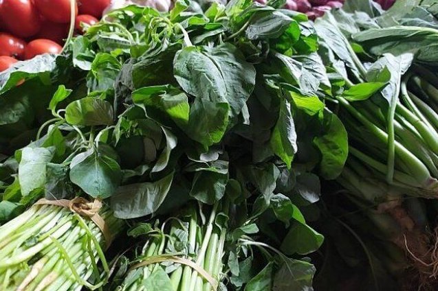 Detail Gambar Sayur Mayur Lalaban Macam Kacang Panjang Nomer 31