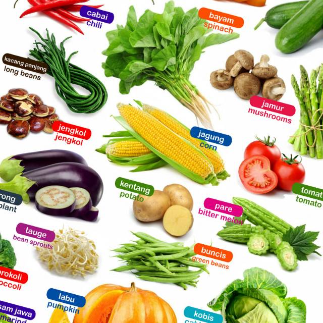 Detail Gambar Sayur Sayuran Untuk Paud Nomer 10