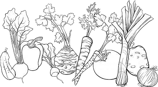 Detail Gambar Sayur Untuk Diwarnai Anak Tk Nomer 48