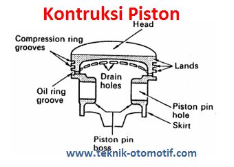 Detail Gambar Seker Dan Fungsinya Nomer 6