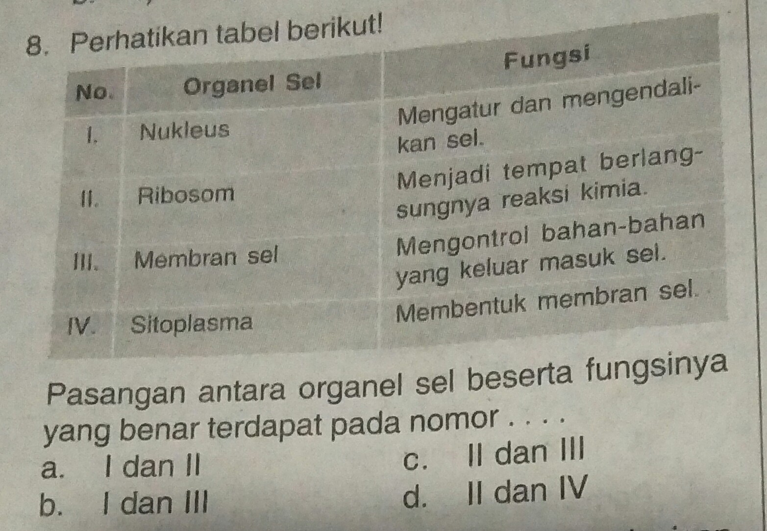 Detail Gambar Sel Beserta Fungsinya Nomer 53