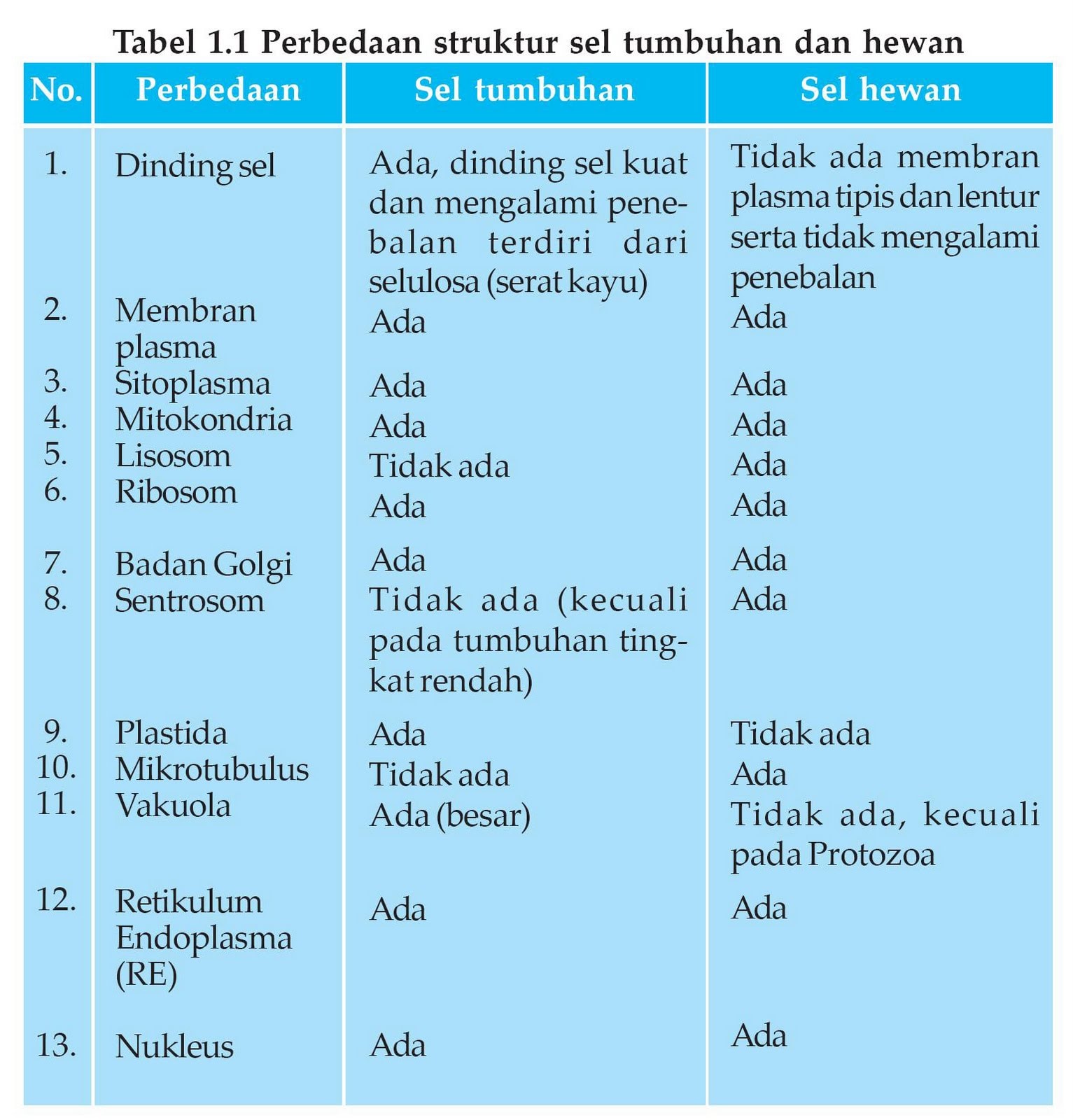 Detail Gambar Sel Hewan Dan Tumbuhan Beserta Fungsinya Nomer 39