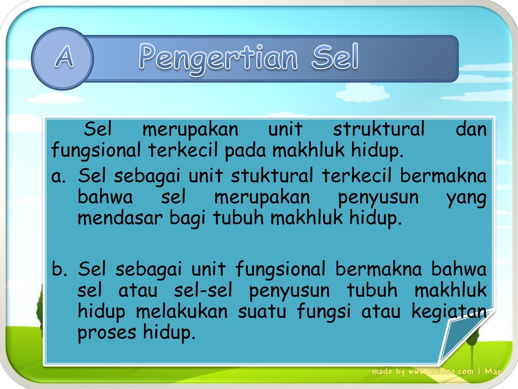 Detail Gambar Sel Sebagai Unit Struktural Dan Fungsional Kehidupan Nomer 24