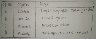 Detail Gambar Sel Sebagai Unit Struktural Dan Fungsional Kehidupan Nomer 27