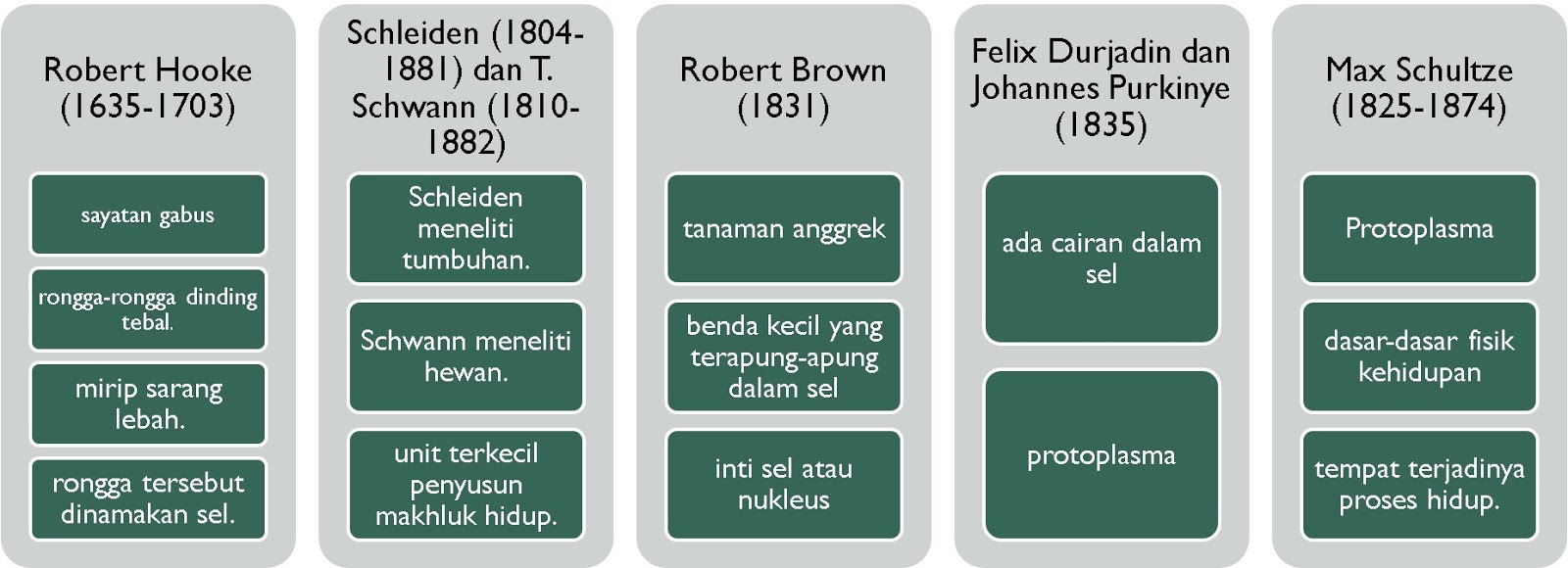 Detail Gambar Sel Sebagai Unit Struktural Dan Fungsional Kehidupan Nomer 38