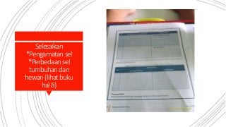 Download Gambar Sel Sebagai Unit Struktural Dan Fungsional Kehidupan Nomer 50