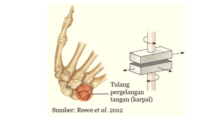 Detail Gambar Sendi Putar Nomer 10