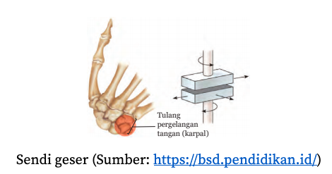 Detail Gambar Sendi Putar Nomer 28