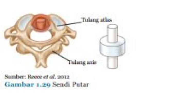 Detail Gambar Sendi Putar Nomer 30