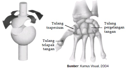 Detail Gambar Sendi Putar Nomer 33