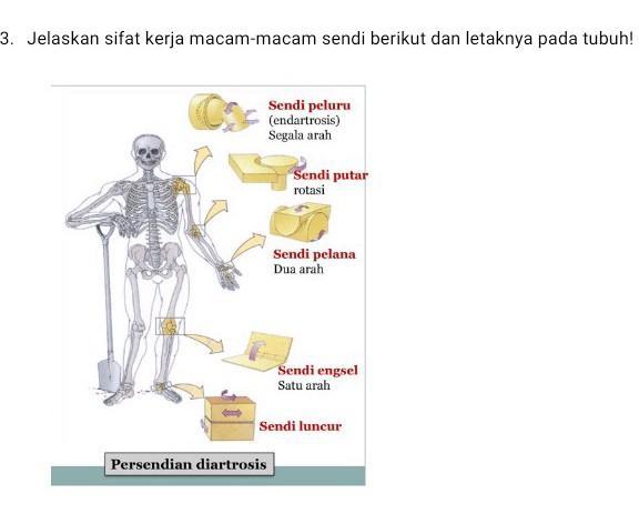 Detail Gambar Sendi Putar Nomer 44