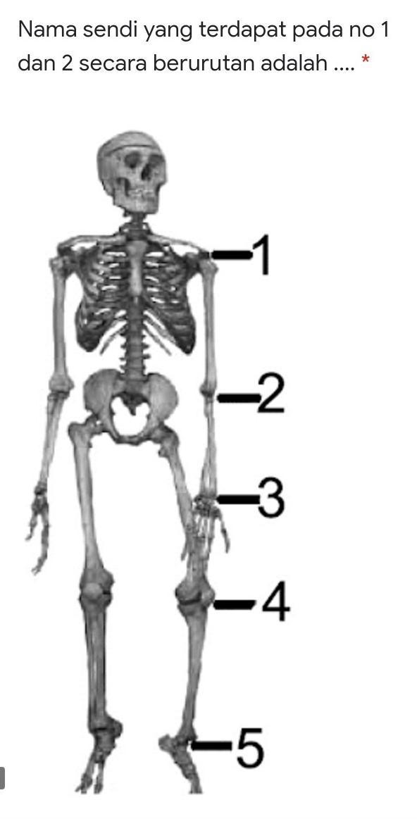 Detail Gambar Sendi Putar Nomer 46