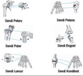 Detail Gambar Sendi Putar Nomer 47