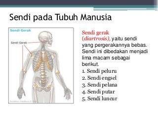 Detail Gambar Sendi Untuk Power Point Nomer 2