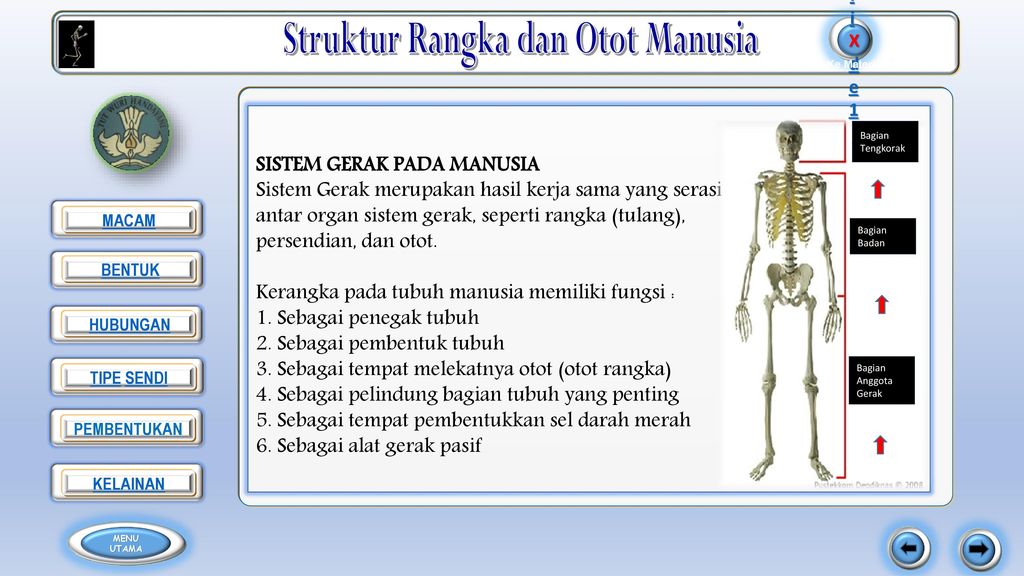 Detail Gambar Sendi Untuk Power Point Nomer 12