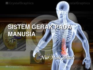 Detail Gambar Sendi Untuk Power Point Nomer 17