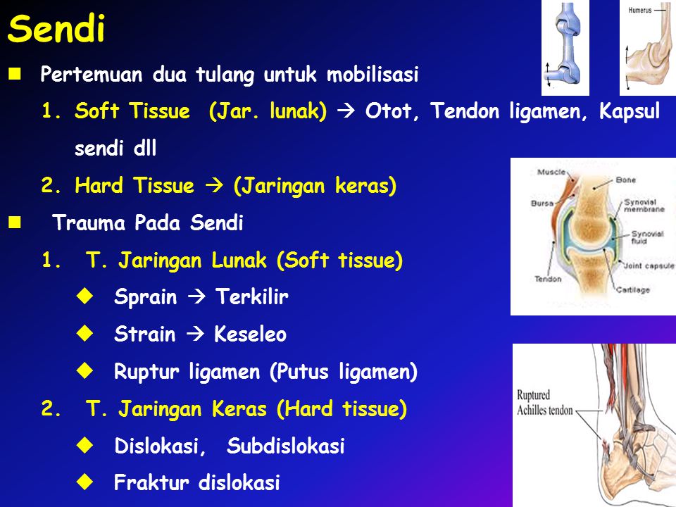Detail Gambar Sendi Untuk Power Point Nomer 19