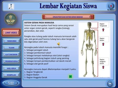Detail Gambar Sendi Untuk Power Point Nomer 20