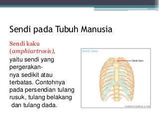 Detail Gambar Sendi Untuk Power Point Nomer 4