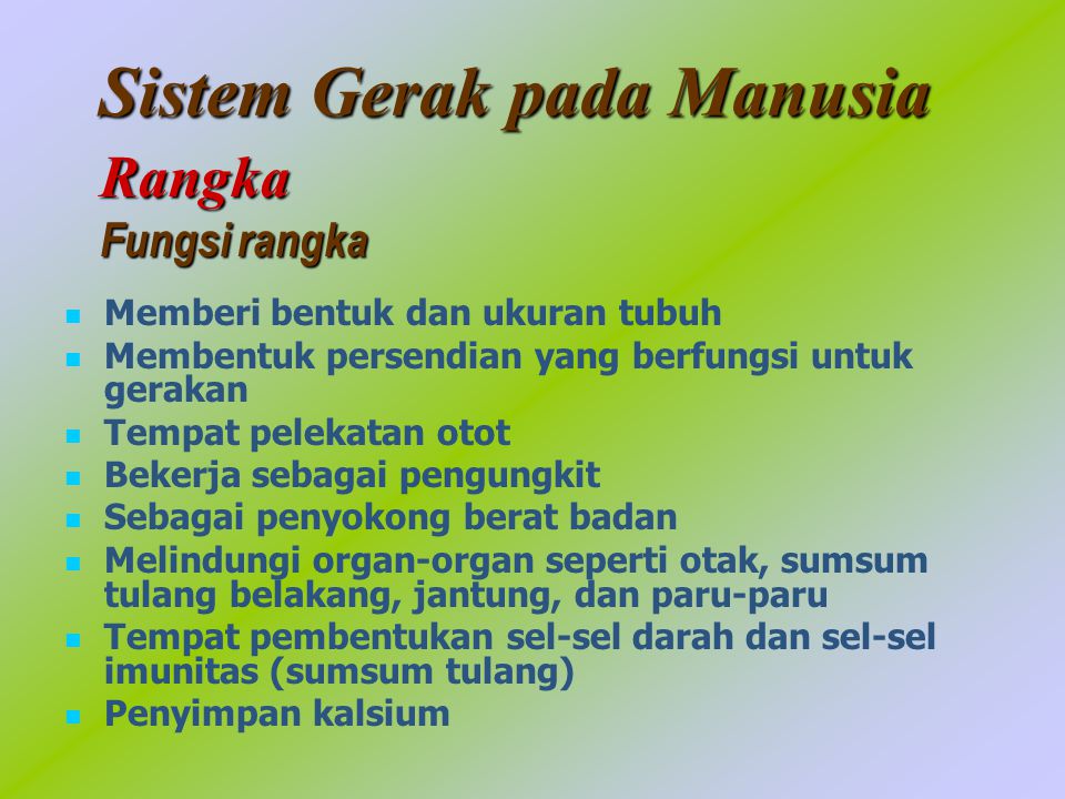 Detail Gambar Sendi Untuk Power Point Nomer 47